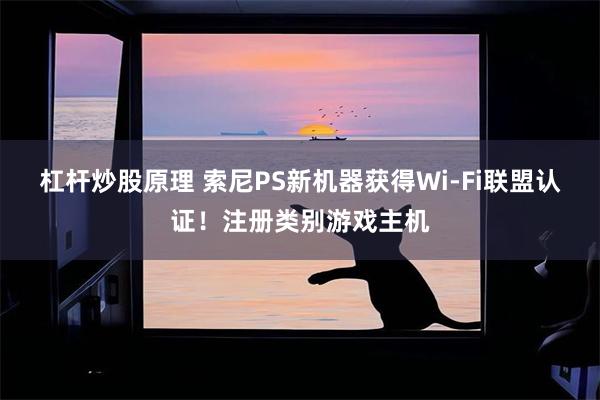 杠杆炒股原理 索尼PS新机器获得Wi-Fi联盟认证!注册类别游戏主机