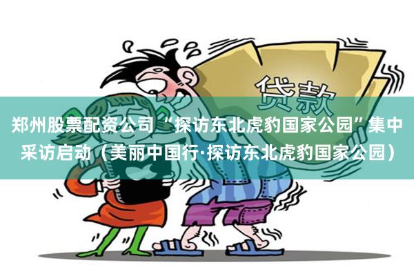 郑州股票配资公司 “探访东北虎豹国家公园”集中采访启动(美丽中国行·探访东北虎豹国家公园)